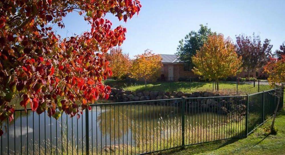 Potters Apartments Cessnock Exterior photo