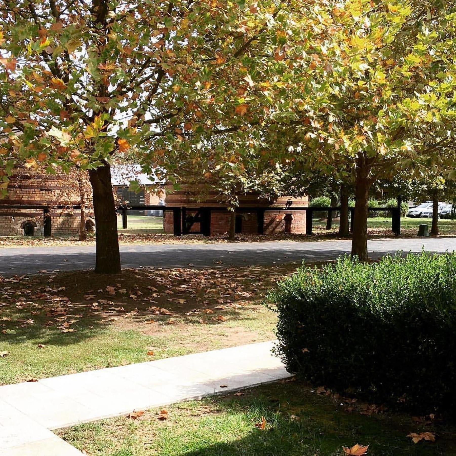 Potters Apartments Cessnock Exterior photo