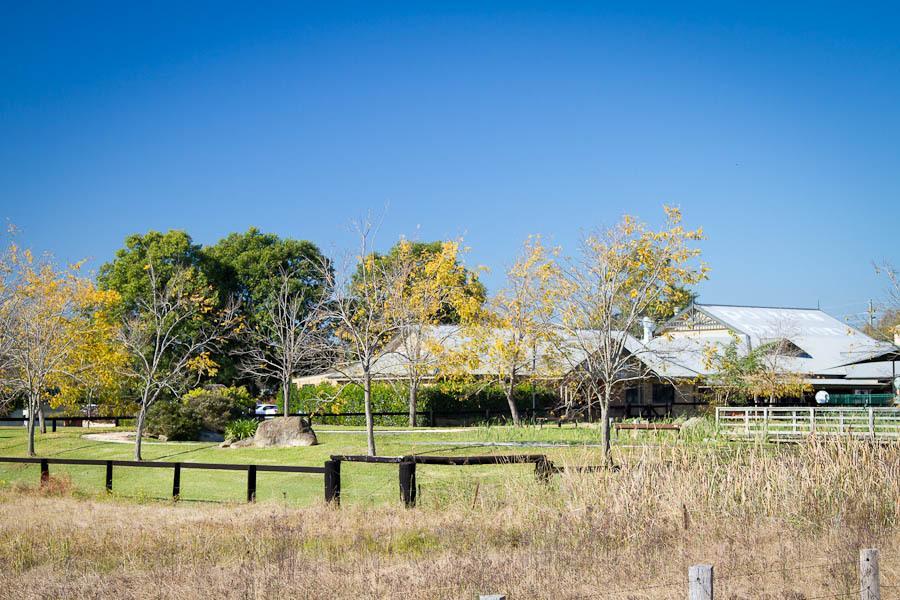 Potters Apartments Cessnock Exterior photo